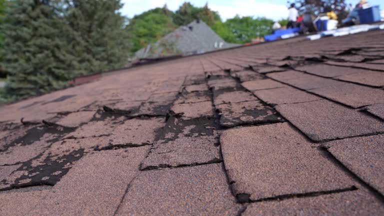 Fast & Reliable Emergency Roof Repairs in Carlinville, IL